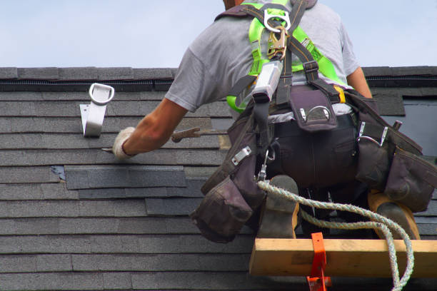 Professional Siding Installation & Repair in Williams Bay, WI